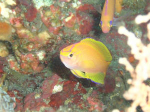 111012-kourin.jpg