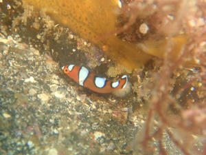 111012-tuyubera.jpg