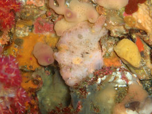 111014-beni.jpg