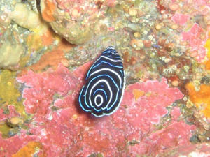 111023-tatekin.jpg