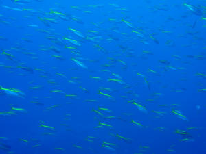 111109-takabe.jpg