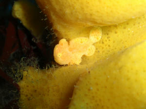 120104-oomon.jpg