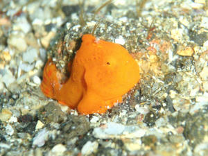 120102-iro.jpg