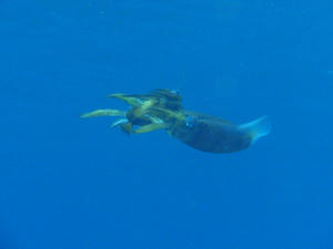 120203-aoriika.jpg