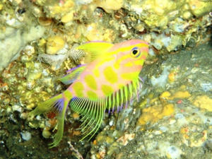 120209-madara.jpg