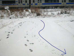 003-1.jpg