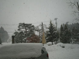 4f0239ba.JPG