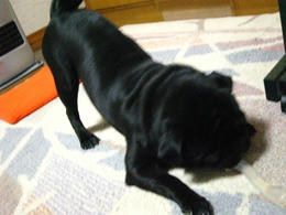 b0f4c359.JPG