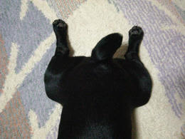 38d99b93.JPG