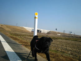 f6268cf2.JPG