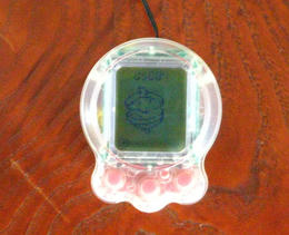 5198e7b6.JPG