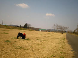45d7399d.JPG
