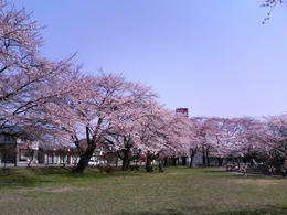 017-1.jpg