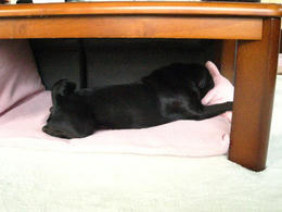 d052731f.JPG