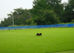 d119718a.JPG