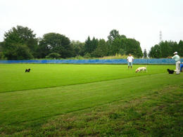 27b51900.JPG
