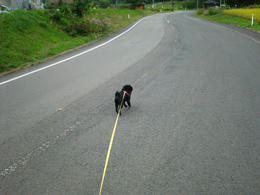 b8d4979d.JPG