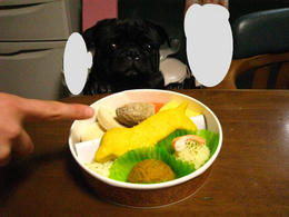 011--1.jpg