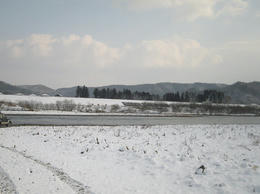 09e91722.JPG