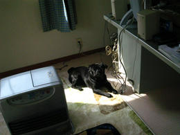 56858b91.JPG