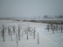 cf0087d0.JPG
