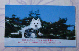 875d85f7.JPG