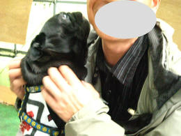 033--1.jpg