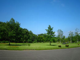 5d50e6c6.JPG