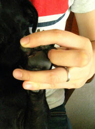 fbb254c8.JPG