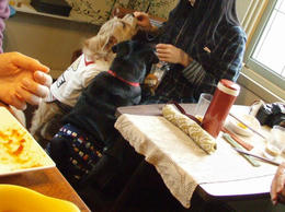 PC122273-1.jpg