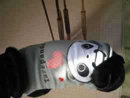 784818d7.JPG