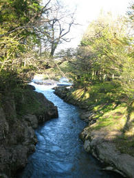 a979a2f0.JPG