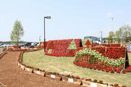 IMG_0685-1.JPG