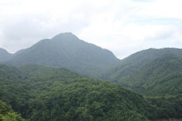 IMG_0933-1.JPG