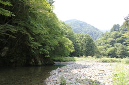 IMG_0976-1.JPG