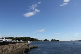 IMG_1129-1.JPG