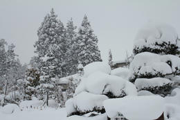 IMG_1760-1.JPG