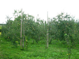 4f42bb52.JPG