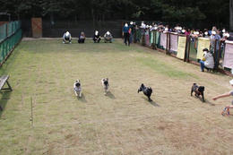 IMG_3491-1.JPG