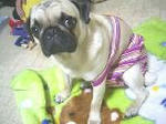 img430.jpg