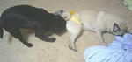 img427.jpg