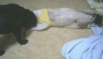 img428.jpg