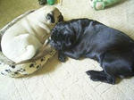 img432.jpg