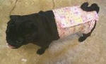 img440.jpg