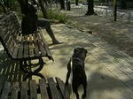 img151.jpg