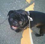 img155.jpg