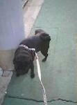 img156.jpg