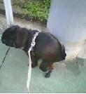 img157.jpg