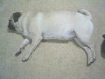 img223.jpg