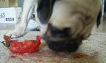 img240.jpg